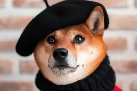 刷屏科技圈的“视频生成”，到底有多颠覆？图片