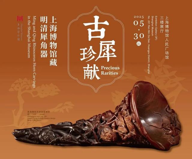 18个特别展览!上海博物馆2026展览指南,邀你共赏文化盛宴