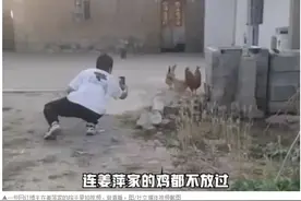 “打卡”姜萍家，网红“膏药猴”又出现了图片