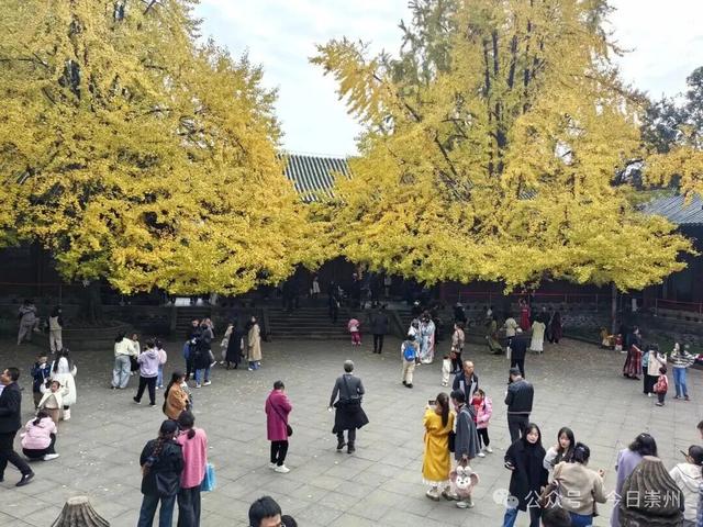 开始刷屏！🤩🤩 崇州罨画池迎来颜值巅峰