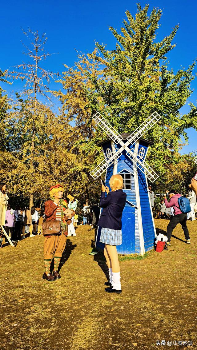 银杏黄时，解放公园把武汉秋天压成一枚金色书签