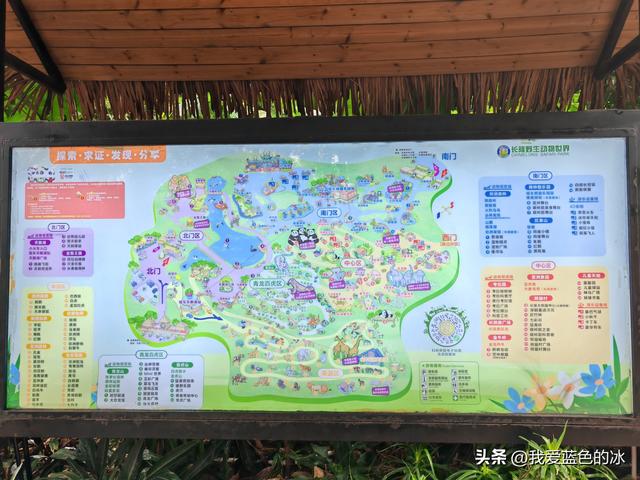 参观广州长隆野生动物园，全程感觉眼累手累腿不累