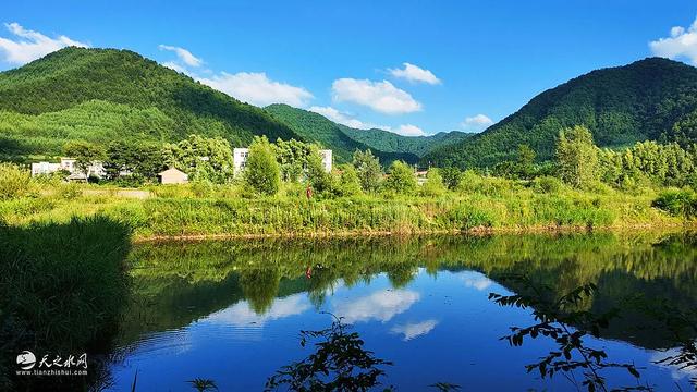【特别推荐】秦州城畔李子园:一树繁花一夏清凉!