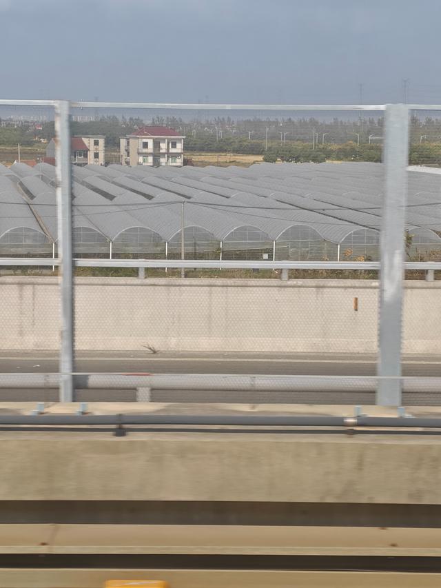 鹏少眼中的上海：亮点确实多，但也有槽点