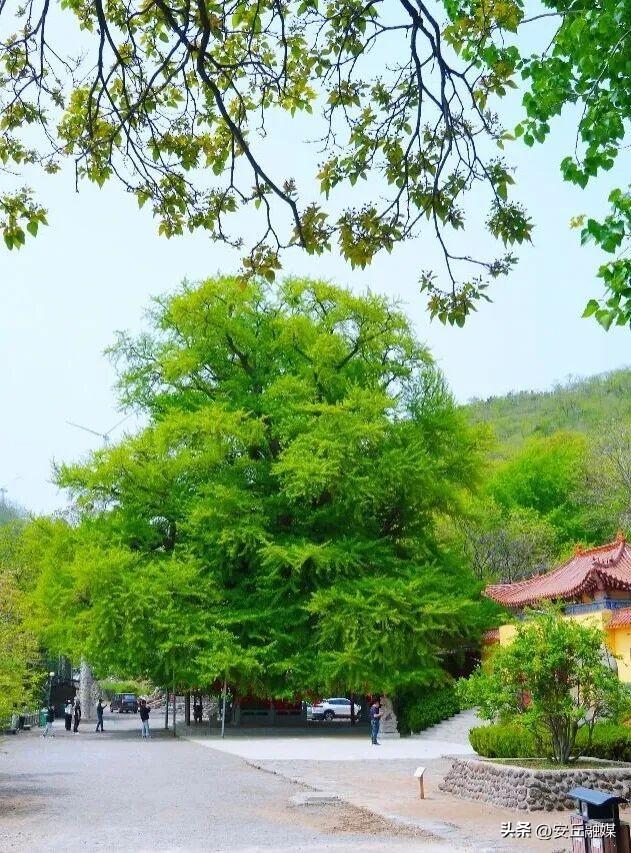 尽收山间好秋色！潍坊登山地图来啦~