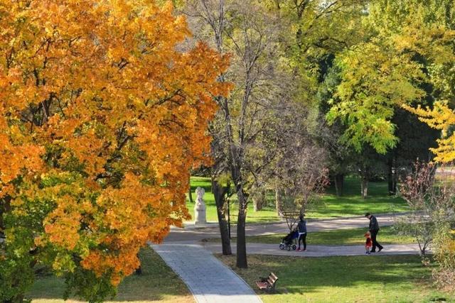 美景+彩灯！丰台这里的秋，好玩好逛——