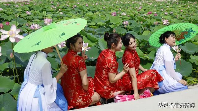 “荷”等惊艳！速来齐齐哈尔这里打卡