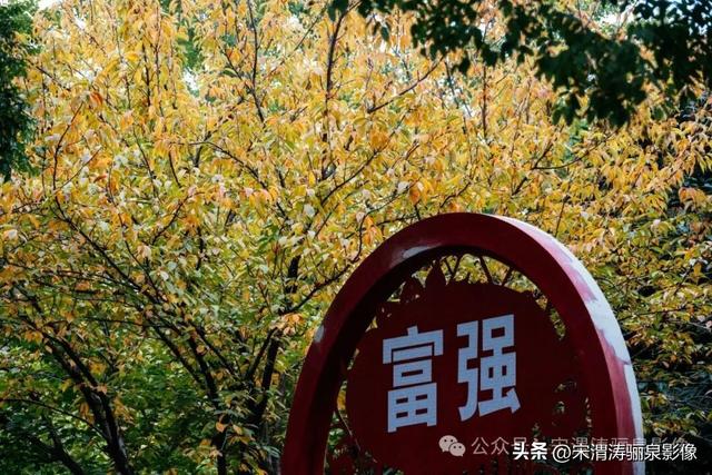 陕西渭南：街头秋色渐渐有了起色