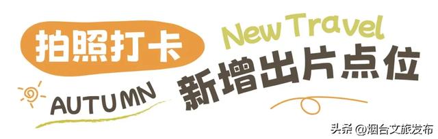 【乐游烟台】美到封神!烟台家门口的赏秋神仙地+1