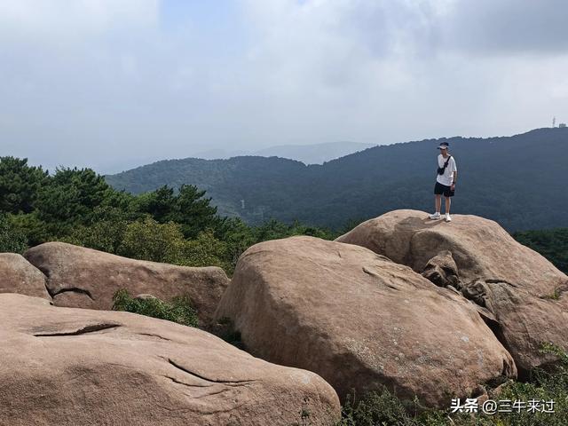 无为在歧路，避暑去鲁山