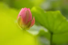 人到中年才明白，孝顺婆家父母和娘家父母，有不同的命运图片