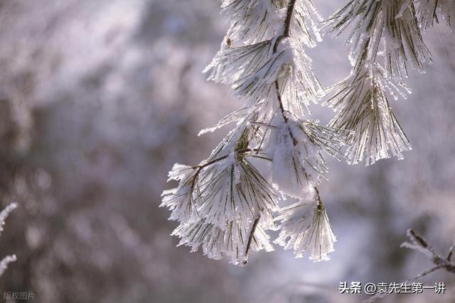 “白天立冬，秋衣过冬；晚上立冬，冻死老牛”	，今年冬天冷不冷？