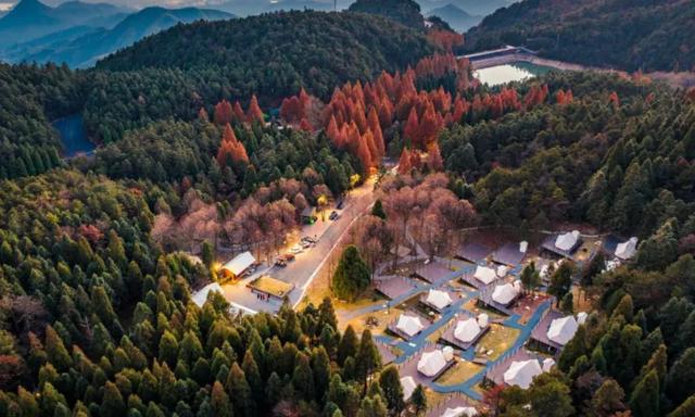 40条！浙江省名山公园精品线路发布