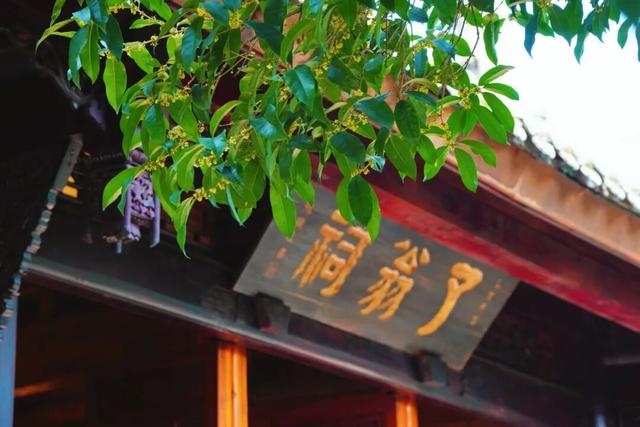 花漾邛州 | 秋意浓，满城桂雨润临邛