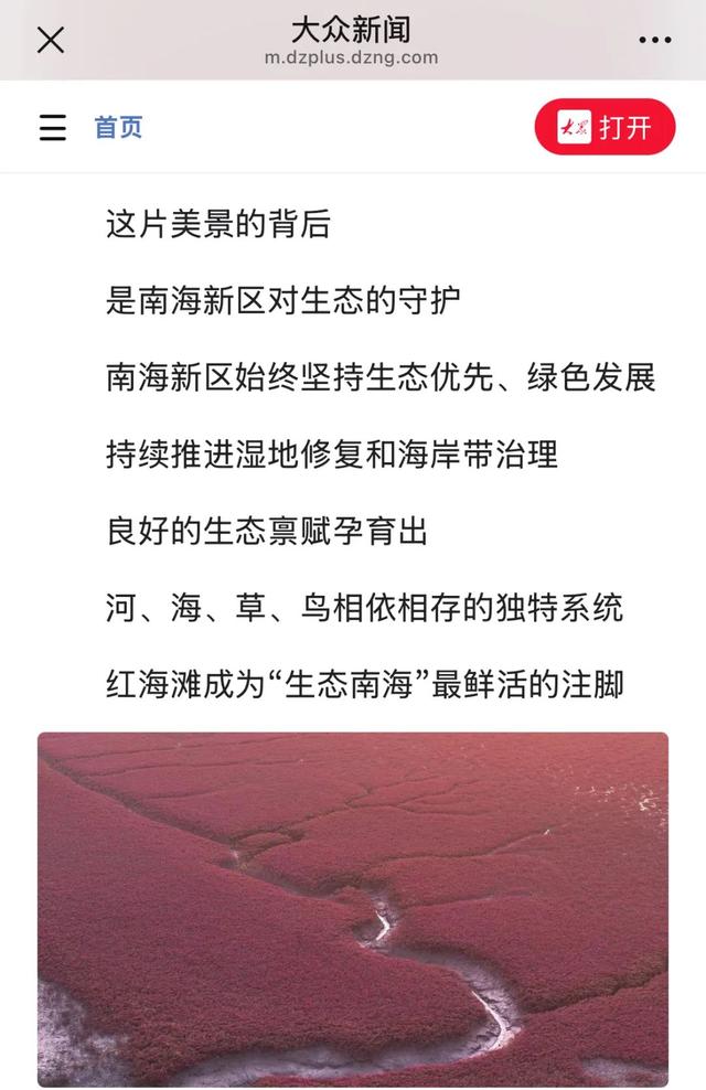 央视四平台连播！ 红滩盛夏铺锦绣 生态南海引客来