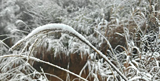 大雪暴雪、中雨大雨要来了！