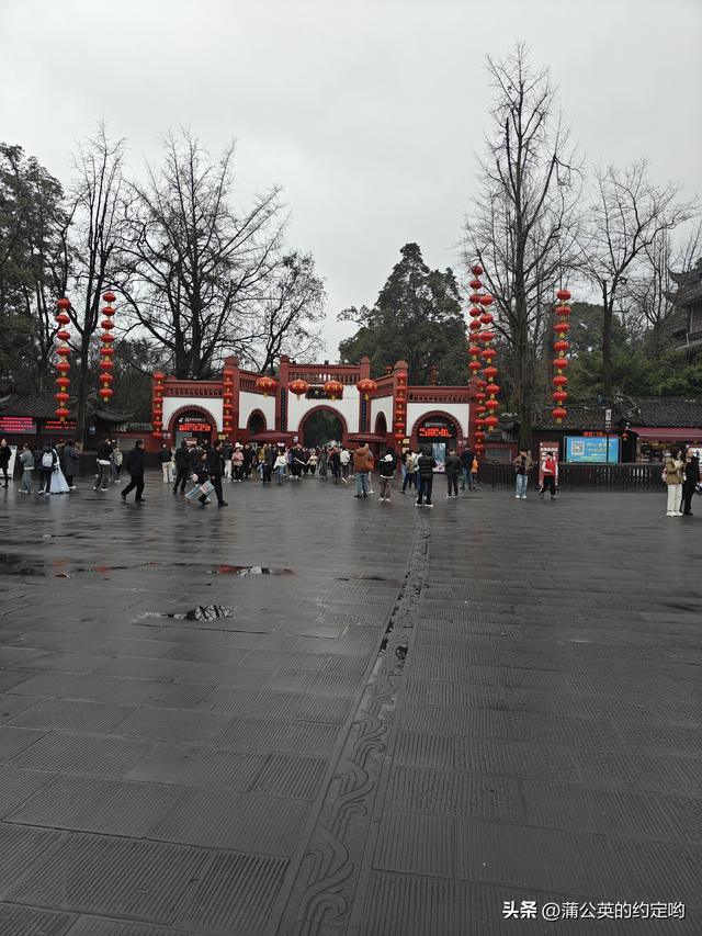 回顾一下今年春节，明天又要启程