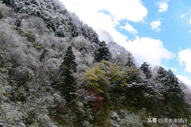 深秋走进理小路