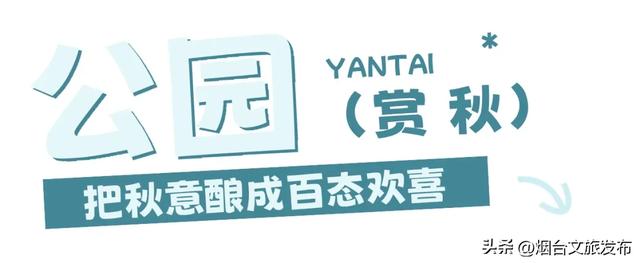 周末好去处丨人少免费！烟台小众公园美疯了