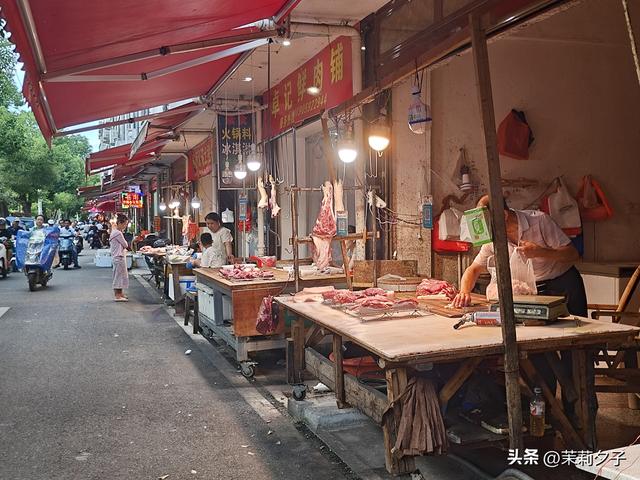 福鼎市区一日游：从白茶发源地到市井小吃赏唐风建筑品山海韵味