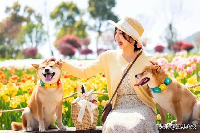 常州唯一！度假区成功入选“2025旅游项目高质量建设运营典型案例”