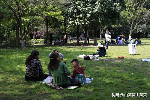 2023年春重庆探亲记（三）