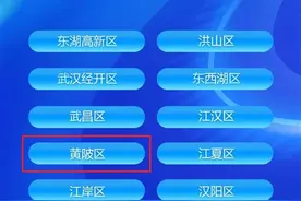 这个排名，黄陂上榜武汉市十佳图片