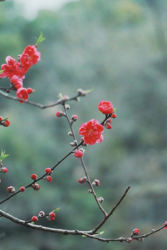 春暖花开，徒步漓江！2026漓江徒步大会路线图正式发布！