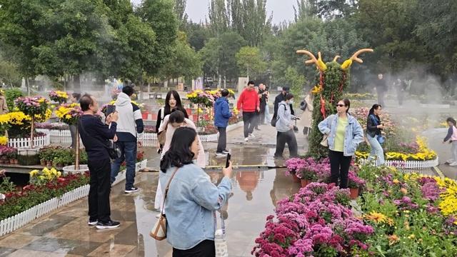 从“芳菊秋韵”到“西口寻根”：解码东河区双节文旅里的“活文化”