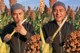 5位过气明星回归农村生活，风光不再，摆摊卖茶叶蛋，喂猪养鸡图片