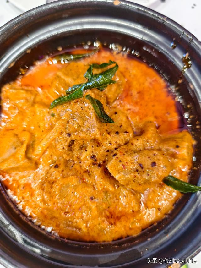 马来西亚(37)砂拉越州⑪告别古晋