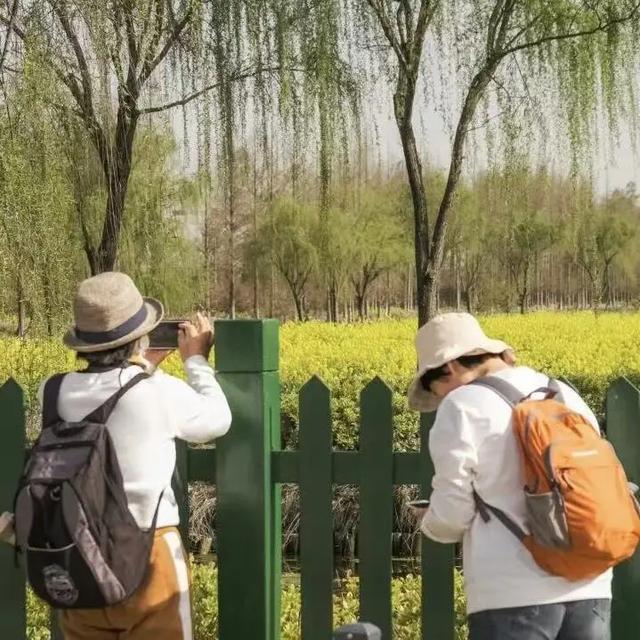 “Fun”假张家港 | 我选择这条推文，作为我的解药