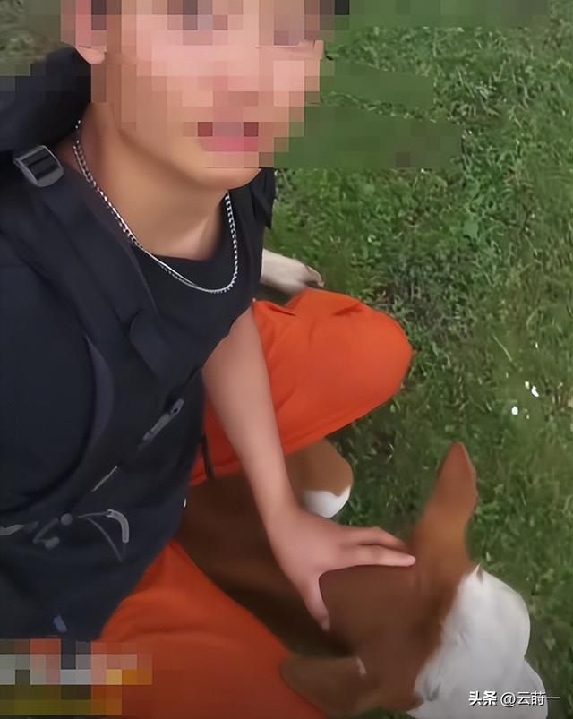 游客徒步遭牛群踩踏后续：景区回应，真相曝光后，网友直呼太活该