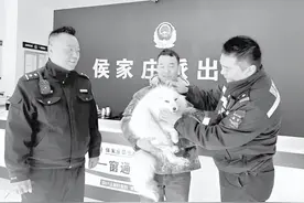 白狐迷途闯入收费站 警民携手救助图片