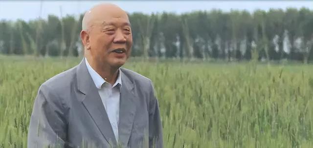 新疆维吾尔自治区成立七十周年，一点历史背景