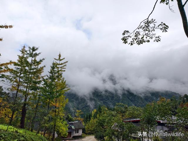 四川行(73)什邡红枫岭徒步到钟鼎寺