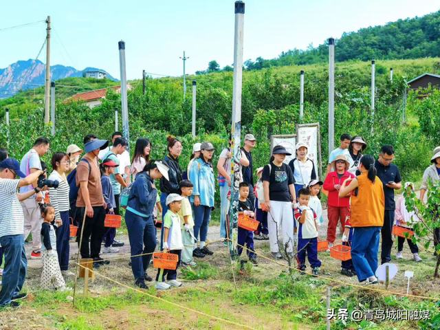 收藏！“双节”假期来城阳怎么玩？游玩线路已安排→