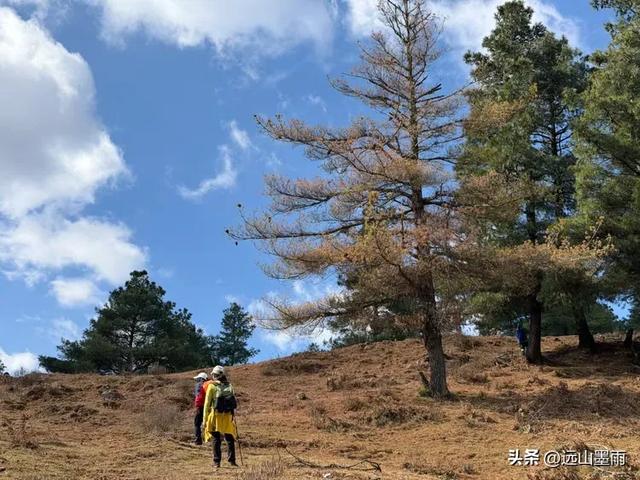 新年登高、祈愿美好,攀登富民金铜盆山,我们用徒步迎接2026