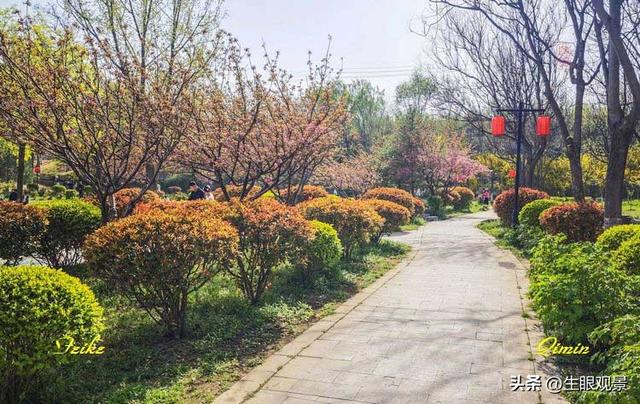 影记 | 春色春景之青州范公亭(上)