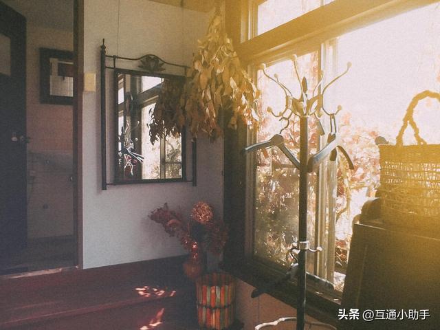 富士 instax WIDE Evo 评测