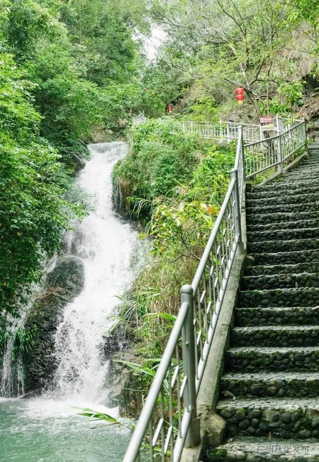 高氧来袭！从化全新推出“天溪谷”主题旅游线路！