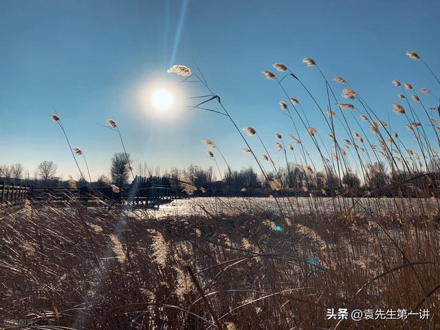 “上午小寒是暖冬，下午小寒冻死牛”，今年小寒几点？有啥说法？