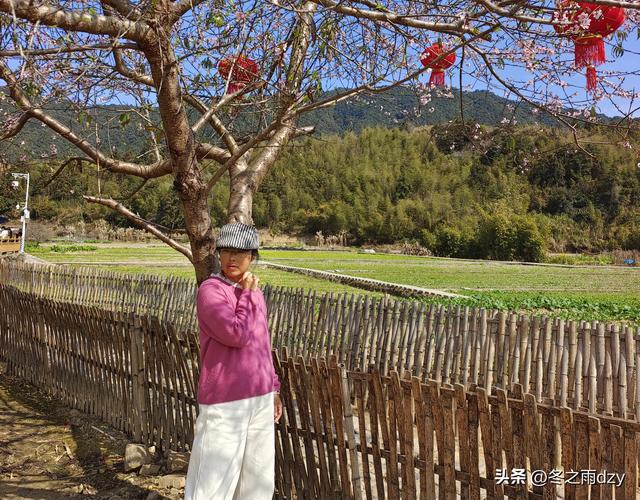 土楼拾光②:福建土楼景区——云水谣片区（2025.2.10 漳州·南靖）