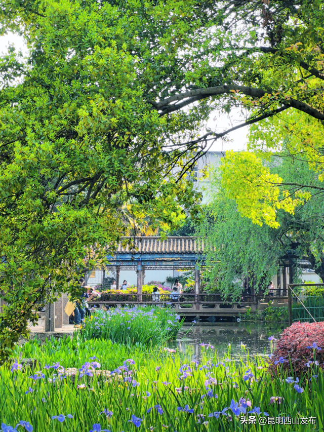 太仙啦！西山秋日必逛的宝藏公园，第一个就“美到心巴”