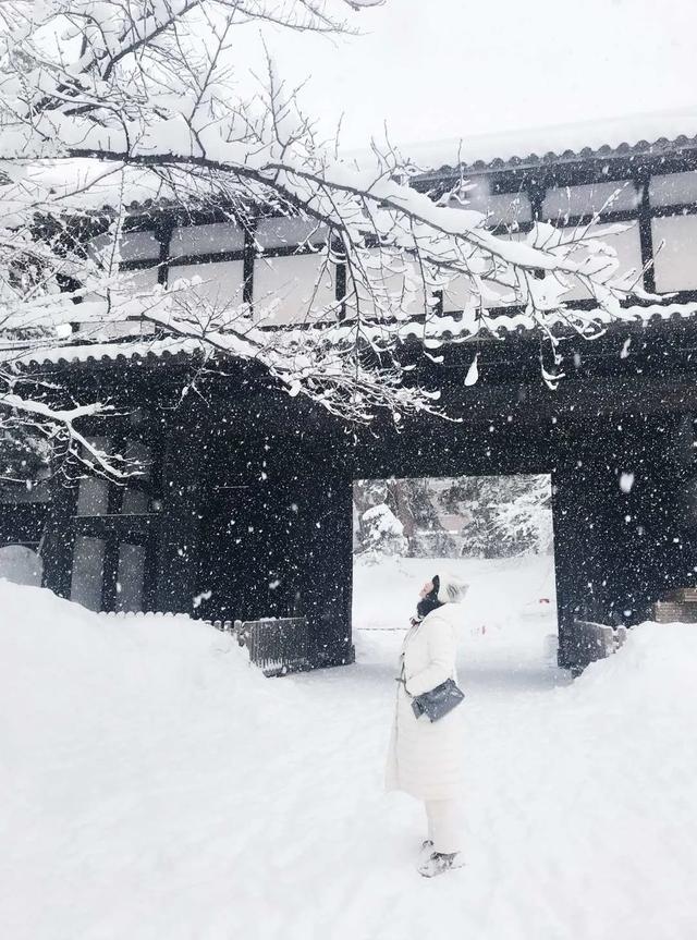 寒假出行 | 本来打算去日本的,都扎堆去俄罗斯了?