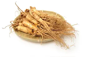 西洋参怎么泡，喝起来更健康？服用西洋参的3点注意事项，请留意图片