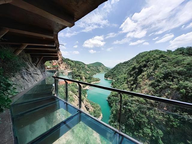 日照没想到，东港也没想到，如今的中国五莲	，已成为全国的焦点！