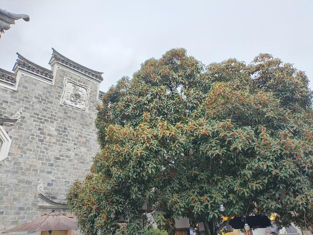 2025秋游：雨中游台州府城