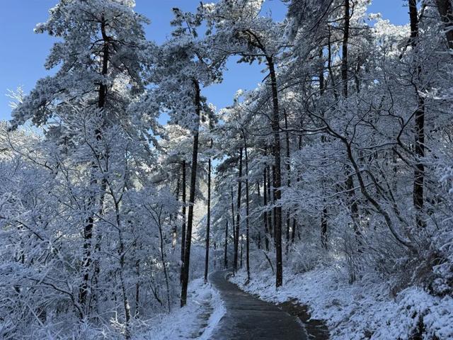 未来15天持续放晴！明月山进入日出云海、雾凇冰瀑最佳观赏期！