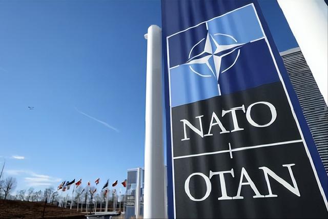 特朗普洋洋自得“北约叫我爸爸”